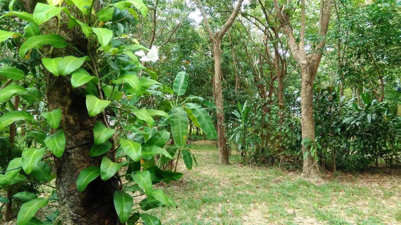 Dugong Koh Sukorn Hotel Ko Sukon Eksteriør billede